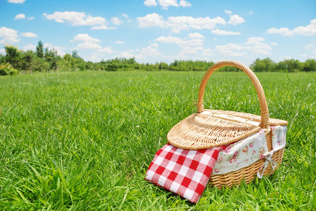 picnic-feat.jpg